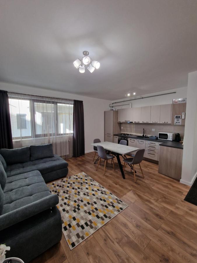 Vic Apartament Drobeta Turnu Severin Buitenkant foto