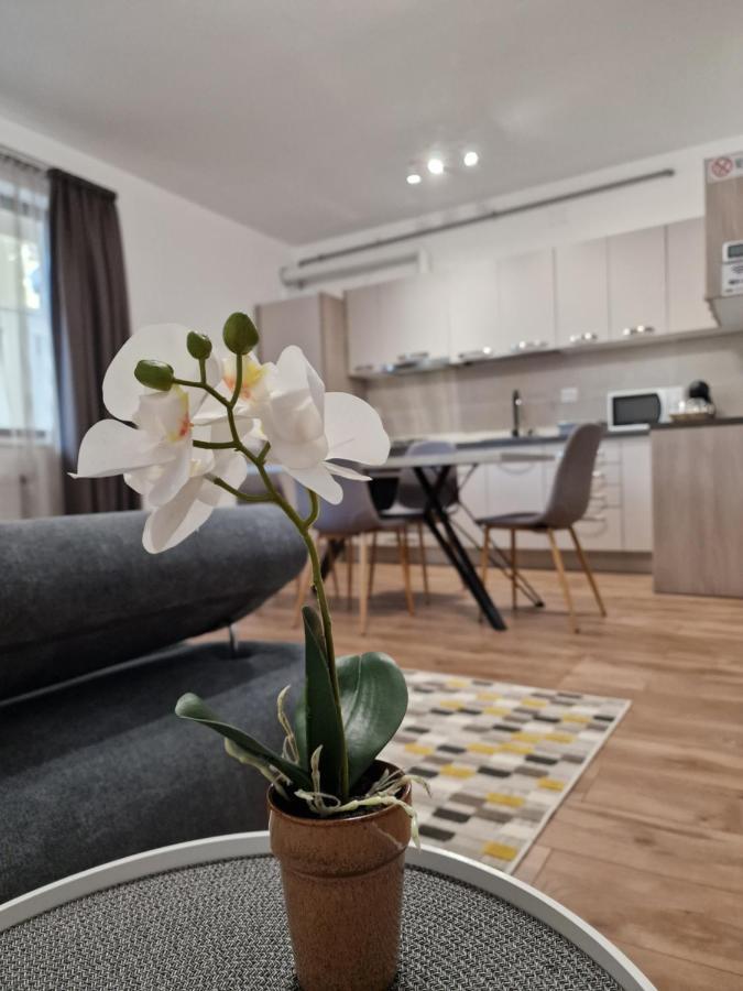 Vic Apartament Drobeta Turnu Severin Buitenkant foto