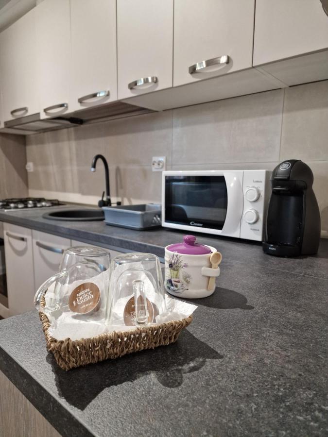 Vic Apartament Drobeta Turnu Severin Buitenkant foto