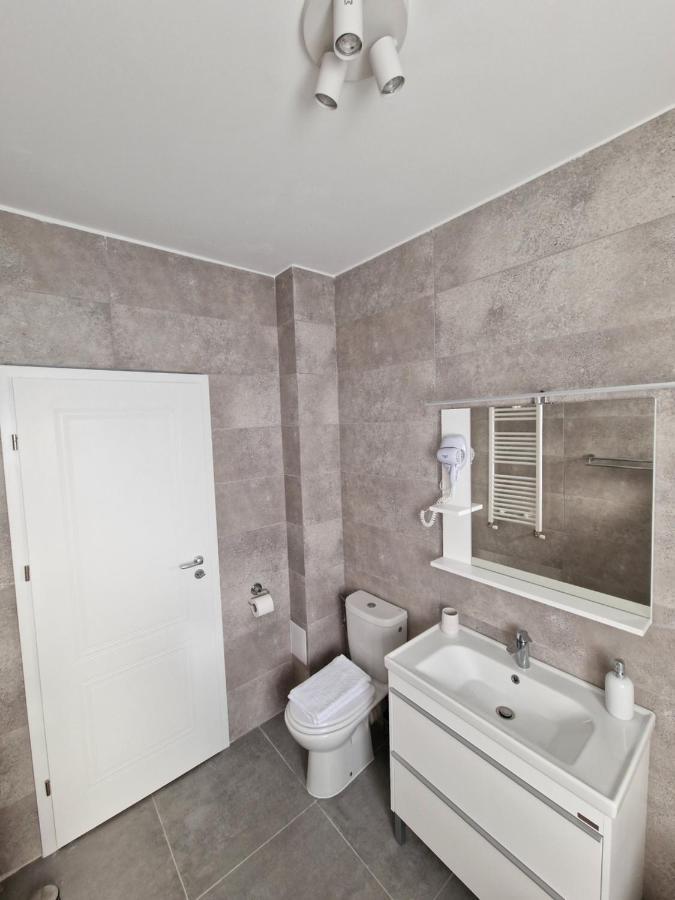 Vic Apartament Drobeta Turnu Severin Buitenkant foto