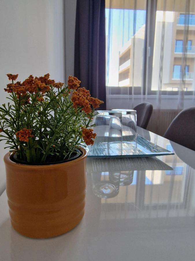 Vic Apartament Drobeta Turnu Severin Buitenkant foto