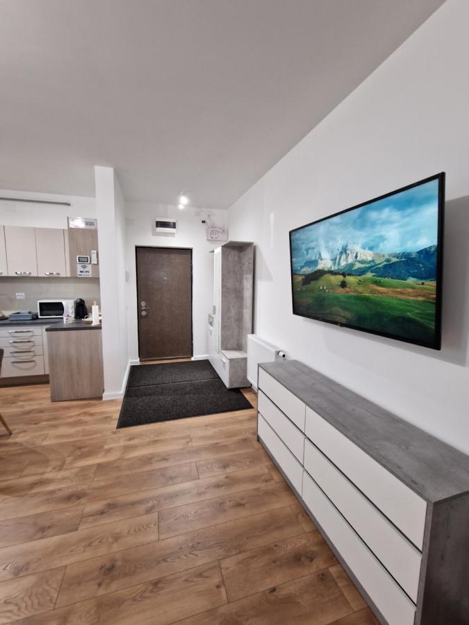 Vic Apartament Drobeta Turnu Severin Buitenkant foto